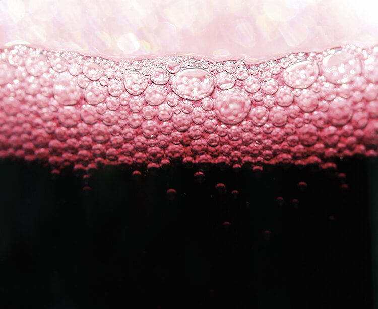 degustazione lambrusco